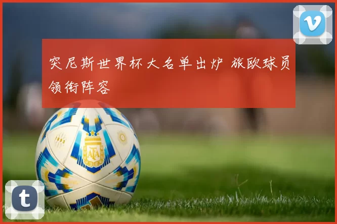 突尼斯世界杯大名单出炉 旅欧球员领衔阵容