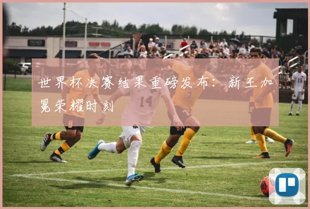 世界杯决赛结果重磅发布：新王加冕荣耀时刻