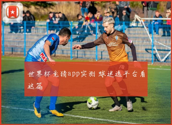 世界杯竞猜app实测 球迷选平台看这篇