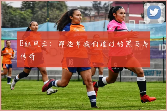 E组风云:那些年我们追过的黑马与传奇