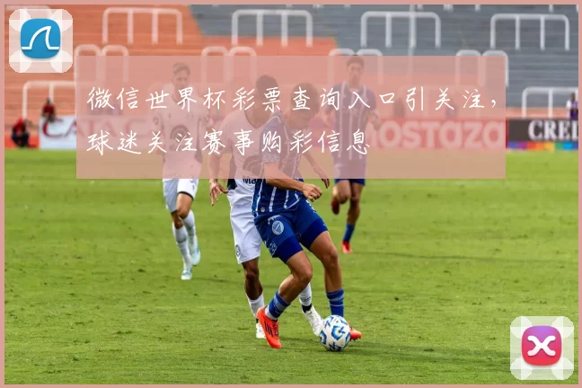 微信世界杯彩票查询入口引关注，球迷关注赛事购彩信息