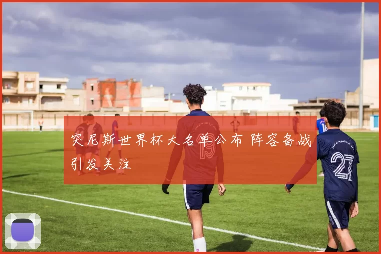 突尼斯世界杯大名单公布 阵容备战引发关注