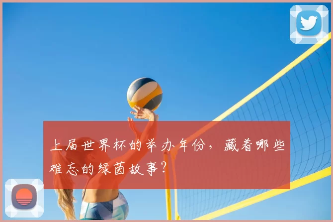 上届世界杯的举办年份,藏着哪些难忘的绿茵故事?