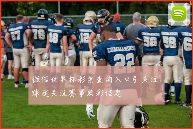 微信世界杯彩票查询入口引关注,球迷关注赛事购彩信息