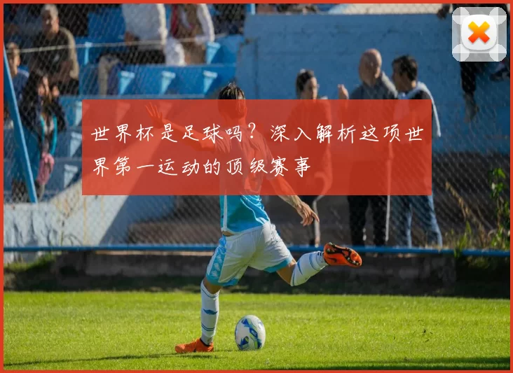 世界杯是足球吗？深入解析这项世界第一运动的顶级赛事
