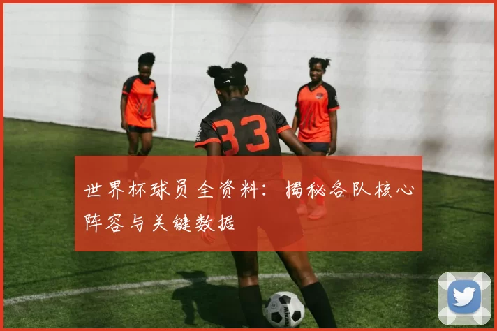 世界杯球员全资料:揭秘各队核心阵容与关键数据
