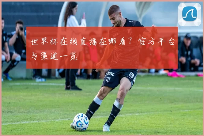 世界杯在线直播在哪看?官方平台与渠道一览