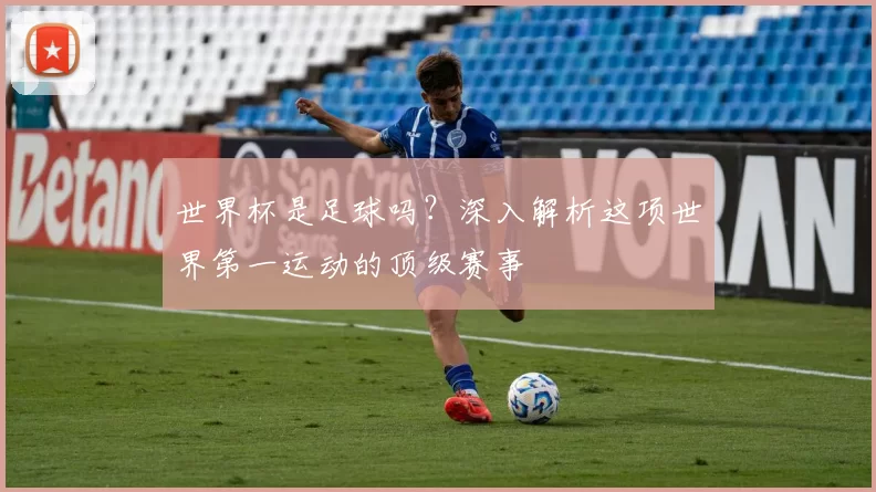 世界杯是足球吗?深入解析这项世界第一运动的顶级赛事